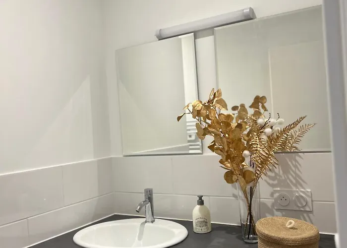 Апартаменты Moderne Et Spacieux Avec Terrasse Privee 1 Carbon-Blanc